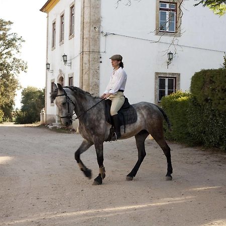 Quinta Dos Alamos Agroturismo Villa Golegã Eksteriør billede