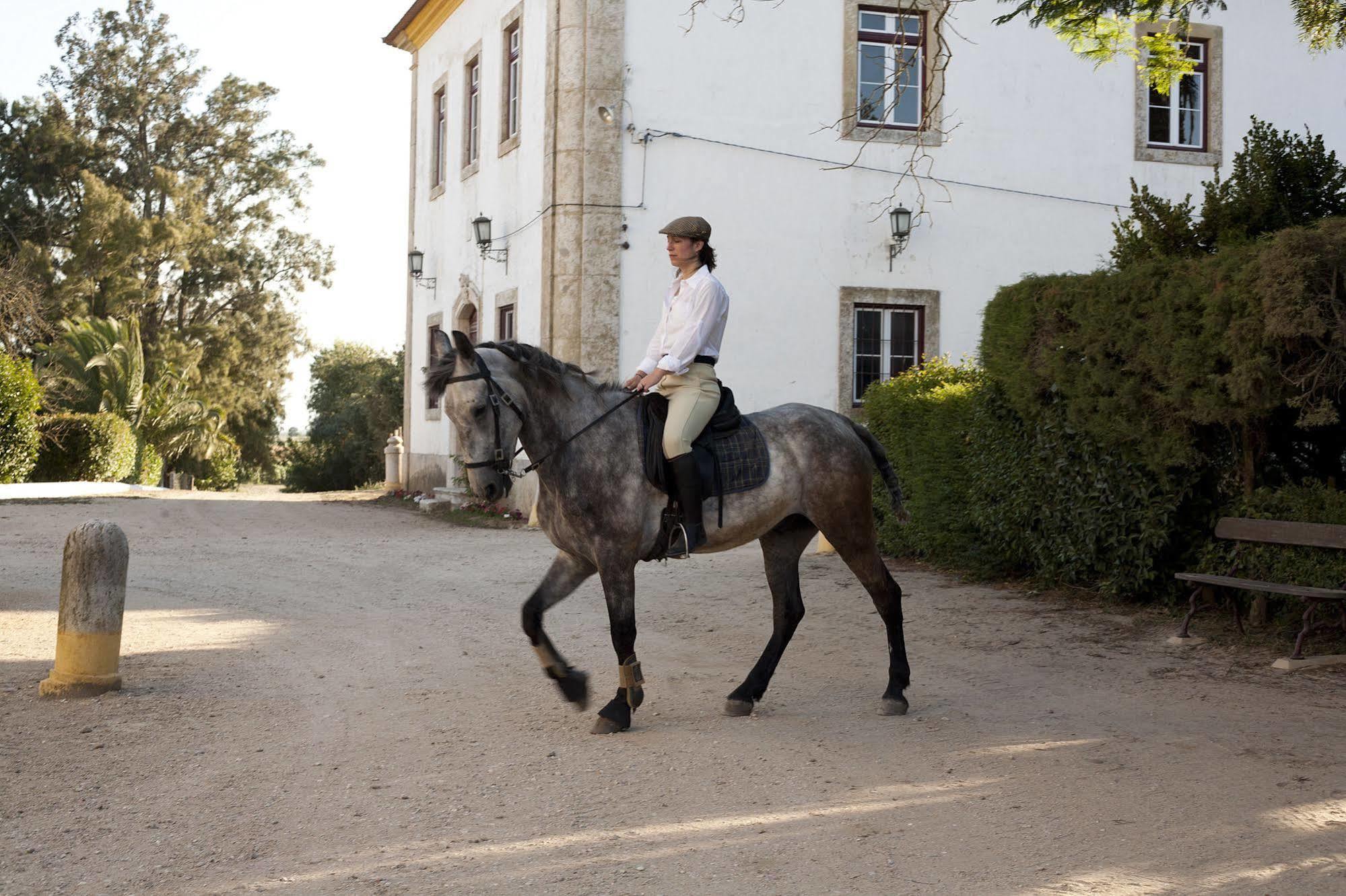 Quinta Dos Alamos Agroturismo Villa Golegã Eksteriør billede